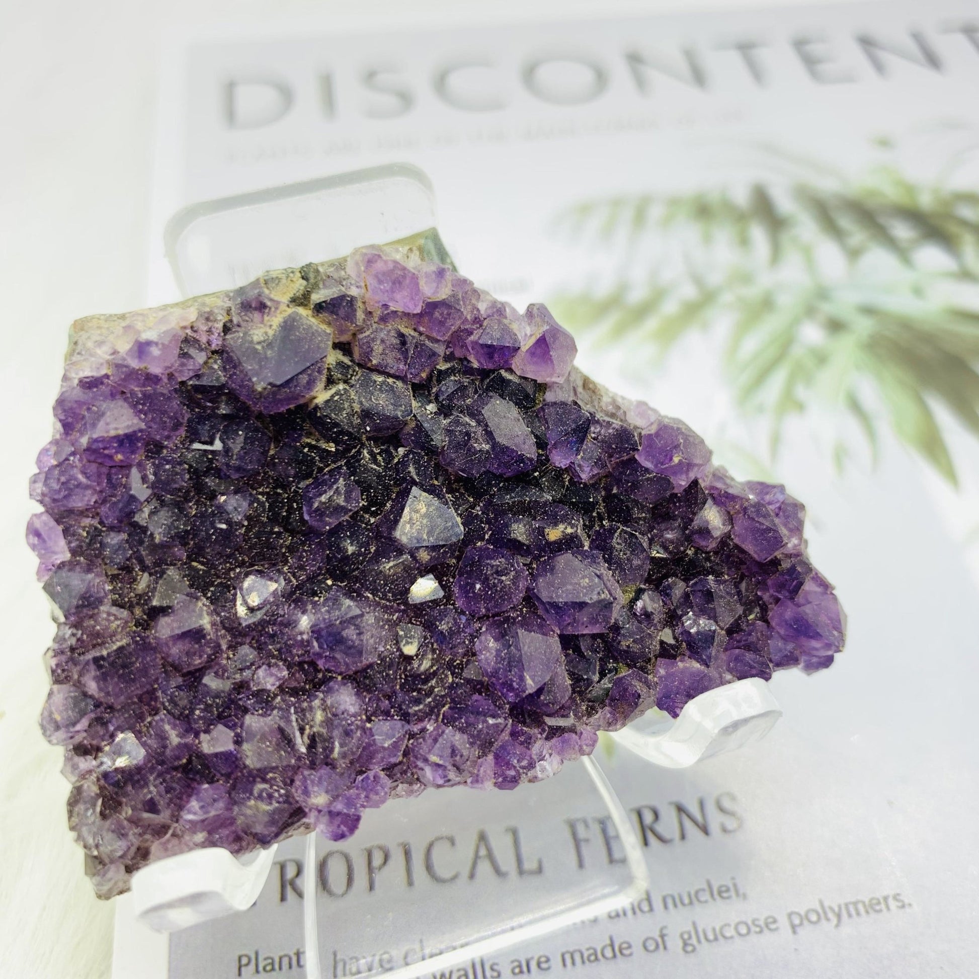 Amethyst Cluster - 677 Crystal