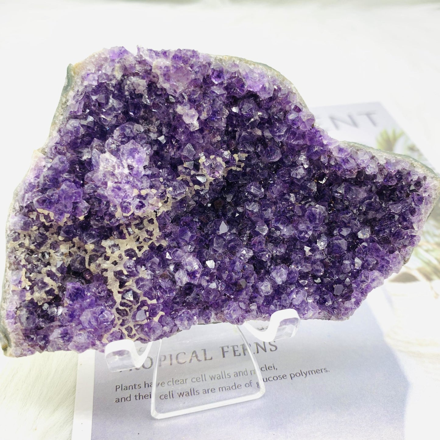 Amethyst Cluster - 677 Crystal