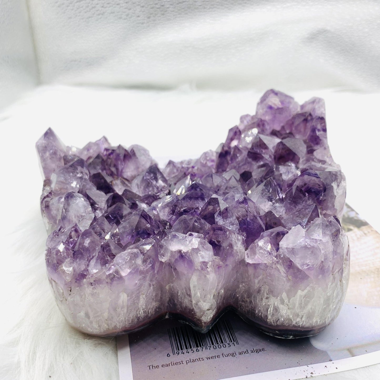 Amethyst Cluster Butterfly - 677 Crystal